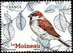 timbre N° 5240, Le Moineau - Les oiseaux de nos jardins