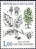 timbre N° 2384, Hètre fayard (Fagus sylvatica)