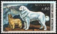  Exposition canine internationale de Monté-carlo 