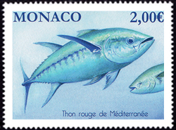 timbre de Monaco N° 3182 légende : Thon rouge de Méditerranée