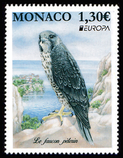 timbre de Monaco N° 3188 légende : Faucon Pélerin, un rapace protégé