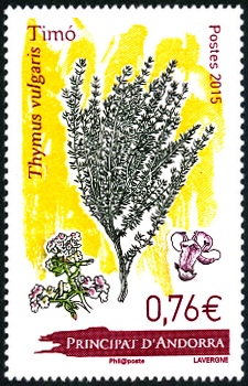 timbre Andorre N° 773 légende : Thymus Vulgaris autrement dit : le Thym