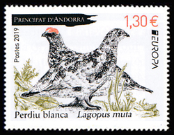 timbre Andorre N° 830 légende : Perdrix blanche