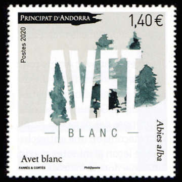 timbre Andorre Att N° légende : Avet blanc