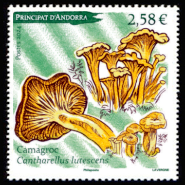 timbre Andorre Att N° légende : Camagroc cantharellus lutesc