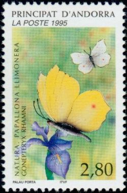 timbre Andorre N° 462 légende : Papillon : Goneptery0 rhamni