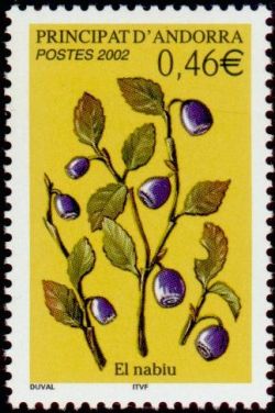 timbre Andorre N° 570 légende : Myrtille