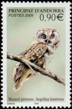 timbre Andorre N° 607 légende : Rapace nocturne