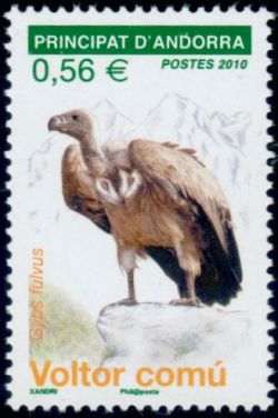 timbre Andorre N° 690 légende : Vautour commun