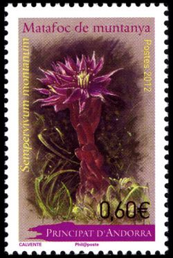 timbre Andorre N° 728 légende : fleurs (joubarbe)