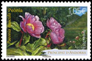 timbre Andorre N° 743 légende : Fleurs (pivoine)