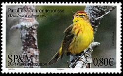 timbre de Saint-Pierre et Miquelon N° 1197 légende : La Paruline à couronne rousse