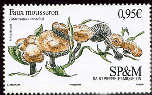 timbre de Saint-Pierre et Miquelon N° 1211 légende : Le faux mousseron