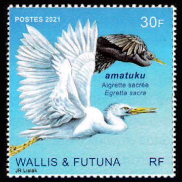 timbre de Wallis et Futuna x légende : Les oiseaux <br> amatuku - aigrette sacrée