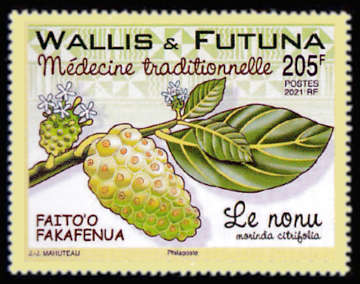 timbre de Wallis et Futuna x légende : Médecine traditionnelle : le nonu