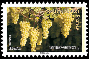  Des fruits pour une lettre verte <br>Raisins blancs - France