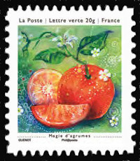  Les petits bonheurs <br>Magie d'agrumes