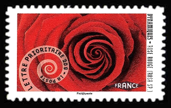  Carnet « Dynamiques Mouvement de spirale » <br>Rose rouge