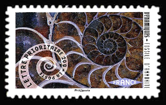 Carnet « Dynamiques Mouvement de spirale » <br>Fossile d'ammonite