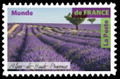  Carnet de France <br>Alpes de Haute-Provence