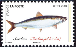  Poissons de mer <br>Sardine