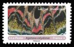 timbre N° 1809, « Effets papillons ». détails d'ailes