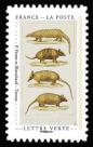 timbre N° 1837, Carnet « Cabinet de curiosités »