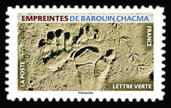  Empreintes d’animaux <br>Empreintes de babouin chacma
