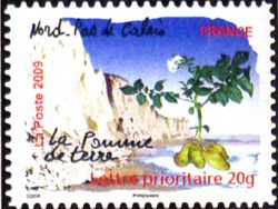  Flore des régions <br>Nord-Pas-de-Calais - La pomme de terre