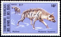 Hyène/
