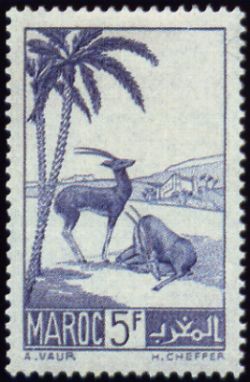 Gazelles/