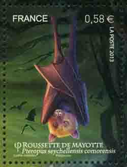  Les chauves-souris <br>La roussette de Mayotte