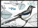 timbre N° 5241, La Pie - Les oiseaux de nos jardins