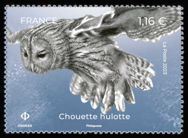  La Terre et les Hommes <br>La Chouette hulotte