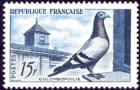 timbre N° 1091, En l'honneur de la colombophilie