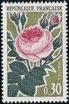 timbre N° 1357, Rose ancienne