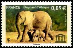  UNESCO <br>Eléphant d'Afrique