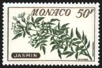  Jasmin 