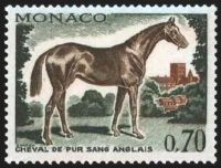  Cheval de sang : Pur sang anglais 