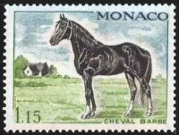  Cheval de sang : cheval barbe 