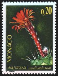  Plantes du jardin exotique 