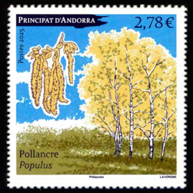  Pollancre Populus 