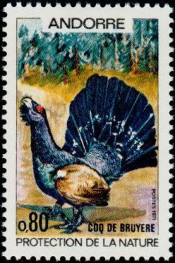 timbre Andorre N° 211 légende : Coq de bruyère