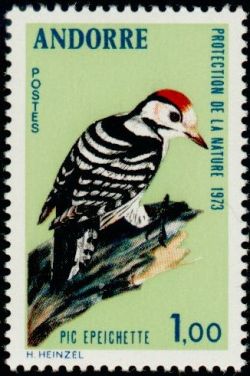 timbre Andorre N° 233 légende : Pie épeichette