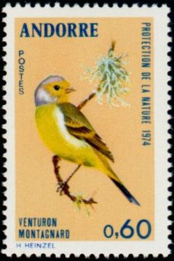 timbre Andorre N° 240 légende : Venturon montagnard