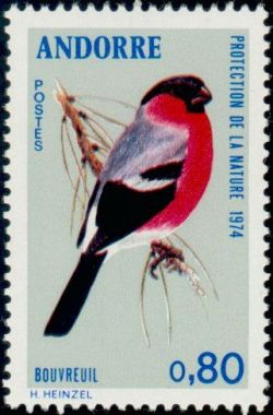 timbre Andorre N° 241 légende : Bouvreuil