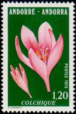 timbre Andorre N° 247 légende : Colchique