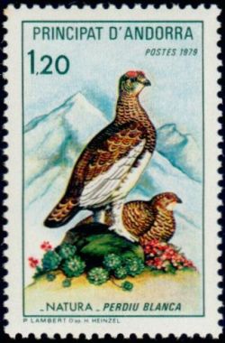 timbre Andorre N° 275 légende : Perdri0 blanche