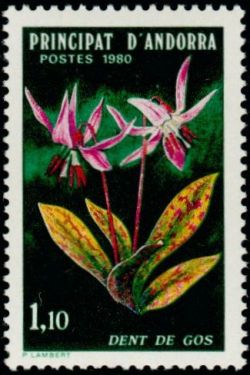 timbre Andorre N° 286 légende : Fleurs des vallées d'Andorre