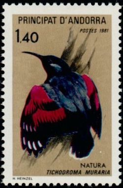 timbre Andorre N° 295 légende : Oiseau : Tichodroma muraria